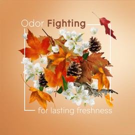 Glade Air Freshener Odor Fighting Room Spray, Cashmere Woods, 8.3 oz, 6 Count