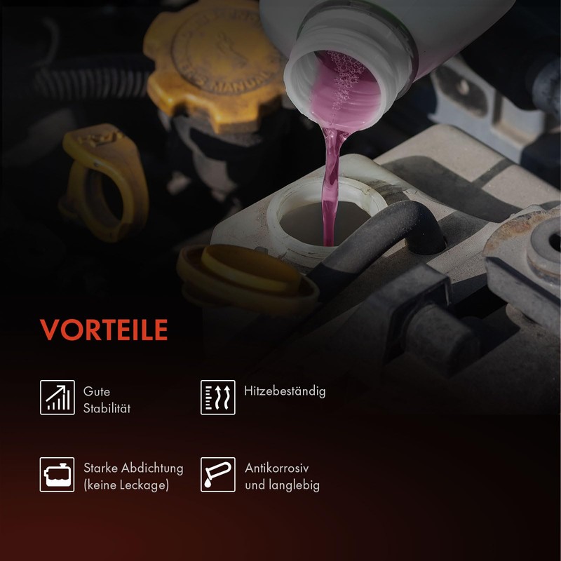 Frankberg Coolant Expansion Tank Compatible with A3 8V1 8VK 8VM