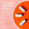 Myo Chiro Inositol 2000 Relación Folato 400 Mcg Acido Folico