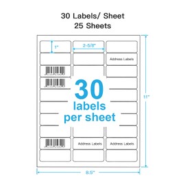 Shipping Address Labels, 1" x 2-5/8" Address Labels for Laser & Inkjet Printers, Mailing Labels, Strong Adhesive for FBA Label, Easy to Peel (25 Sheets, 750 Labels)