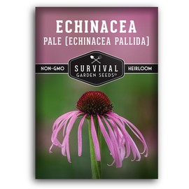 Pale Coneflower Seed for Planting - 1 Packet with Instructions to Plant & Grow Pink Echinacea Pallida in Your Home Garden - Non-GMO Heirloom Variety - Survival Garden Seeds