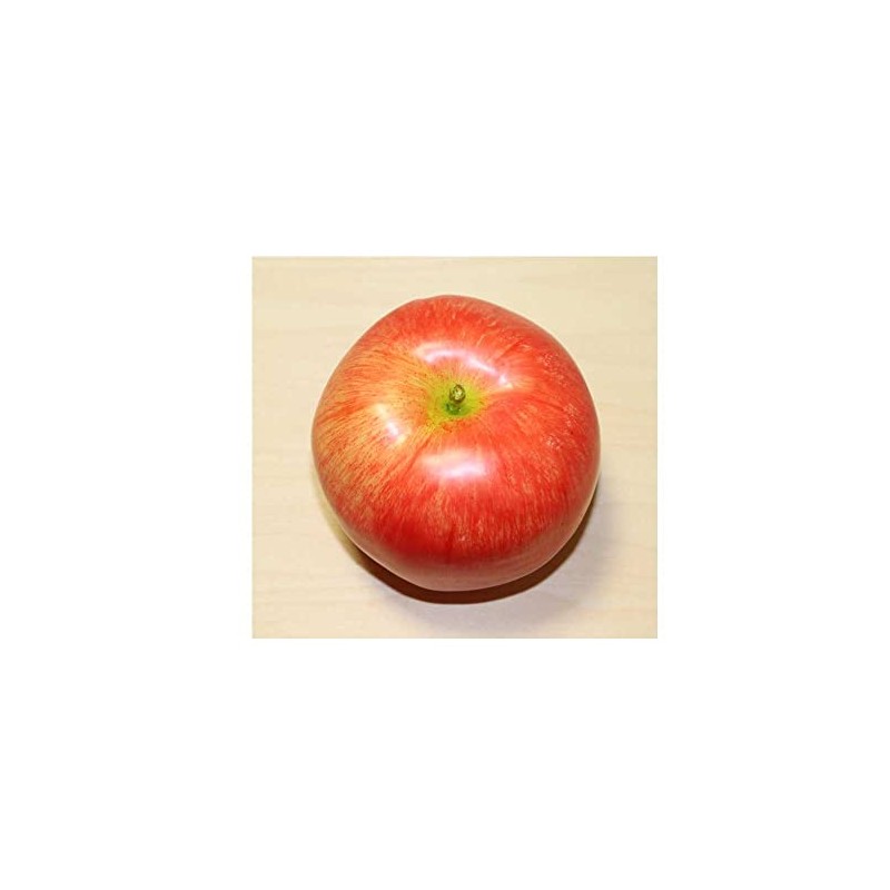 GuCra Set of 2 Realistic Apples Food Sample Fruit Model