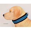 BUDDYPACK Extra Wide Dog Collar with Reflective Stripes, Soft Neoprene