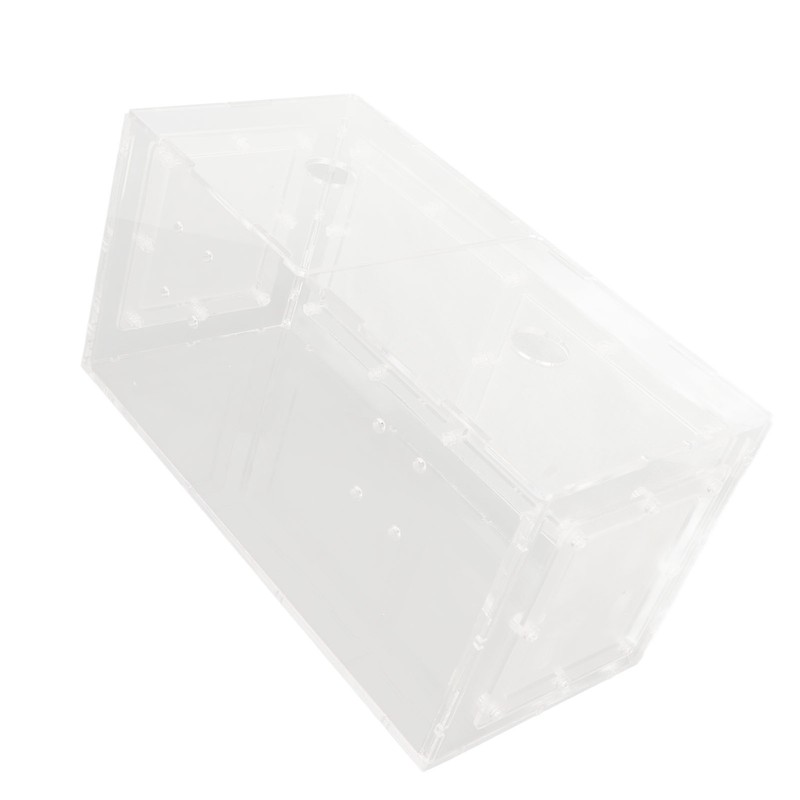 Fish Breeding Isolation Box Transparent Mesh Side Fish Tank Incubator