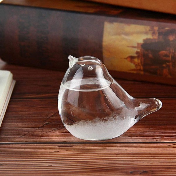 Womdee Weather Predicting Storm Glass, Bird Shape Storm Glass Weather