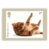 Royal Mail CATS, GINGER CAT PLAYING, ORIGINAL ROYAL MAIL POSTCARD