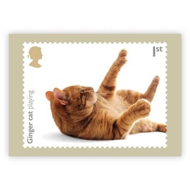 Royal Mail CATS, GINGER CAT PLAYING, ORIGINAL ROYAL MAIL POSTCARD (1), YEAR 2022