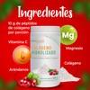 Nutrasien100 Colágeno Hidrolizado En Polvo Sin Azúcar Añadida Sabor Arándano