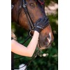 Roeckl Sports equestrian gloves LORRAINE, ladies summer riding glove, desert