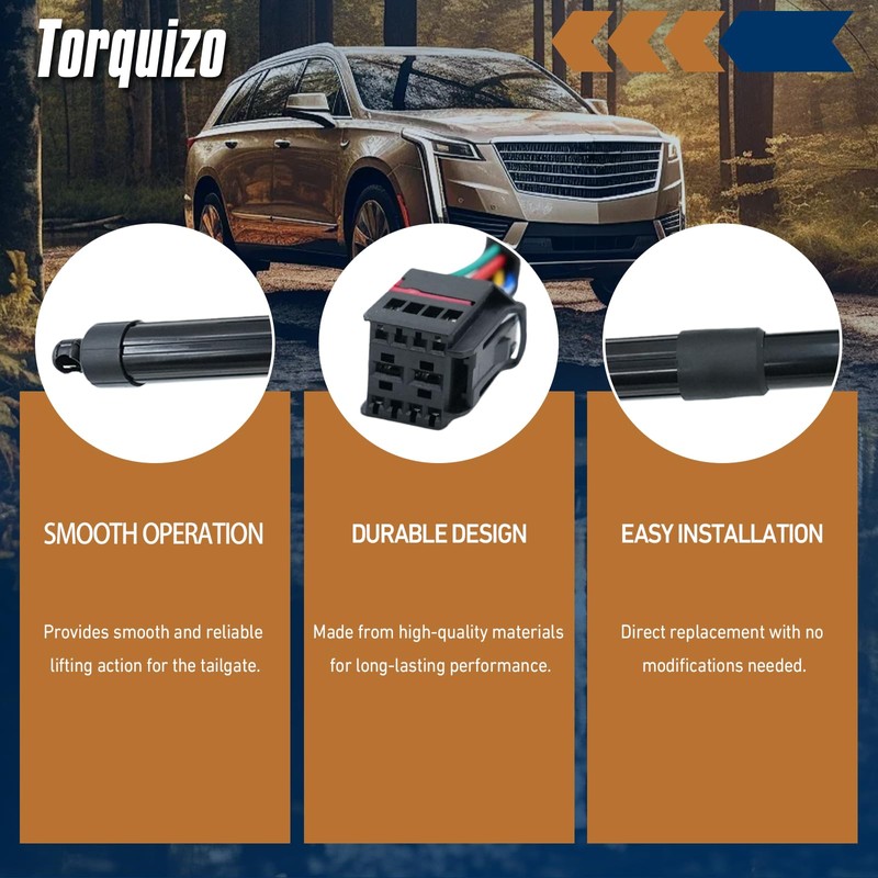 Torquizo 817702W600 Rear Left Right Tailgate Power Lift Support 2PCS