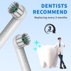 Toothbrush Replacement Heads for Quip 360 Oscillating Electric Toothbrush