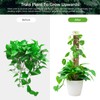 Plant Plastic Moss Pole Moss Supports Climbing Plant Poles Tortoise