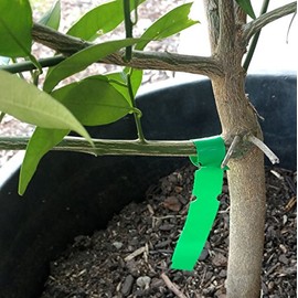 1000 Wrap Around Tree Labels 9" x 1" Thermal Plastic Tree Tags Plant Labels, Printable by Dmarketline (Green)