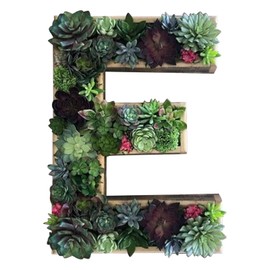 QUINTRA Decorative Wall Wooden Letters with Artificial Succulents Bryophytes Vertical Artificial Garden Pots Living Wall Art Flower Pots (E, One Size)