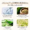Vitabrid Nail Shield Premium Liquid Type [Supervised by TITANAIL /