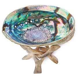 6 Inch Abalone Shell + Wood Tripod Stand, Hand Made, Sustainably Grown, Smudging Kit & Sage Smudge Kit Shell & Stand