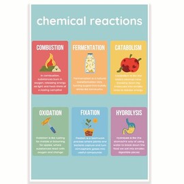Chemical Reactions Classroom Poster - Science Class Poster - 12 x 18 Inch - Classroom Decor - Classroom Must Haves - Back To School Decor - CPS0323