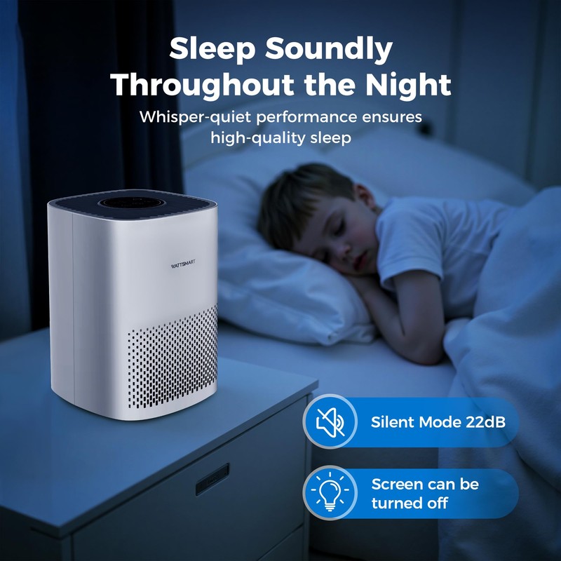Air Purifier for Home, H13 True HEPA Filter With Activated