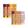 Burt's Bees Lip Balm x2 Select / 버츠비 립밤 x2 골라담기
