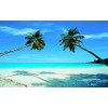 Huge Photo Wall Mural 12 Feet 6 Inch Wide X