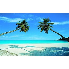 Huge Photo Wall Mural 12 Feet 6 Inch Wide X 9 Feet High Covers an Entire Wall! Tropical Beaches, Waterfalls, Mountains, Nature (Shadow Palms Mural)