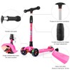 Allek Kick Scooter B02, Lean 'N Glide Scooter with Extra