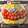 ILC Color Changing LED Light Bulb, 120 Colors, 2700K Warm