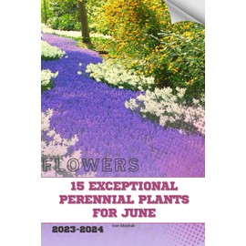 15 Exceptional Perennial Plants for June: Become flowers expert