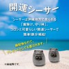 The Iron Egg (Kaiun Shisa) From Iwate Prefecture, Nambu Ironware,