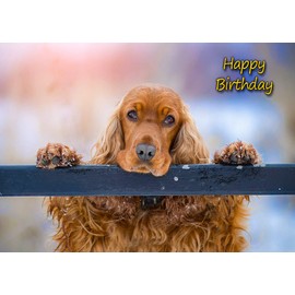 Cocker Spaniel Dog Birthday Card