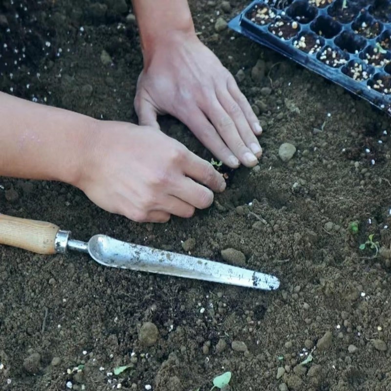 JaSiTeBW Stainless Steel Hand Weeder & Planting Trowel – Ergonomic