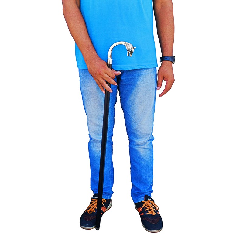 FYNJREX Vintage Antique Wolf Chrome Walking Cane Wooden Walking Stick