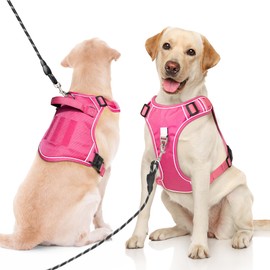 No Pull Dog Harness, Adjustable Harnesses for Medium Dog, No Choke Soft Padded Dog Vest Harness with Handle, Oxford Reflective Pet Harness, 2 Leash Clips Harness for Walking, Hot Pink, M