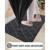 LUMI Front Door mat, Absorbent Mud Resistant Indoor Outdoor Entrance