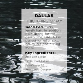 R+Co Dallas Thickening Spray Full + Travel | Blow Out Spray For Volume + Body + Shine | Vegan + Cruelty-Free | 8.5 + 1.7 Oz