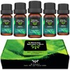 ORIGINAL NATURE'S OILS Kit de 5 aceites Esenciales de Menta