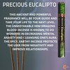 HEM Incense sticks PRECIOUS Eucalyptus Full box of 6 with