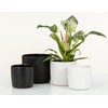 Scheurich Solido Linea, Set of 2 Ceramic Flower Pots, Colour: