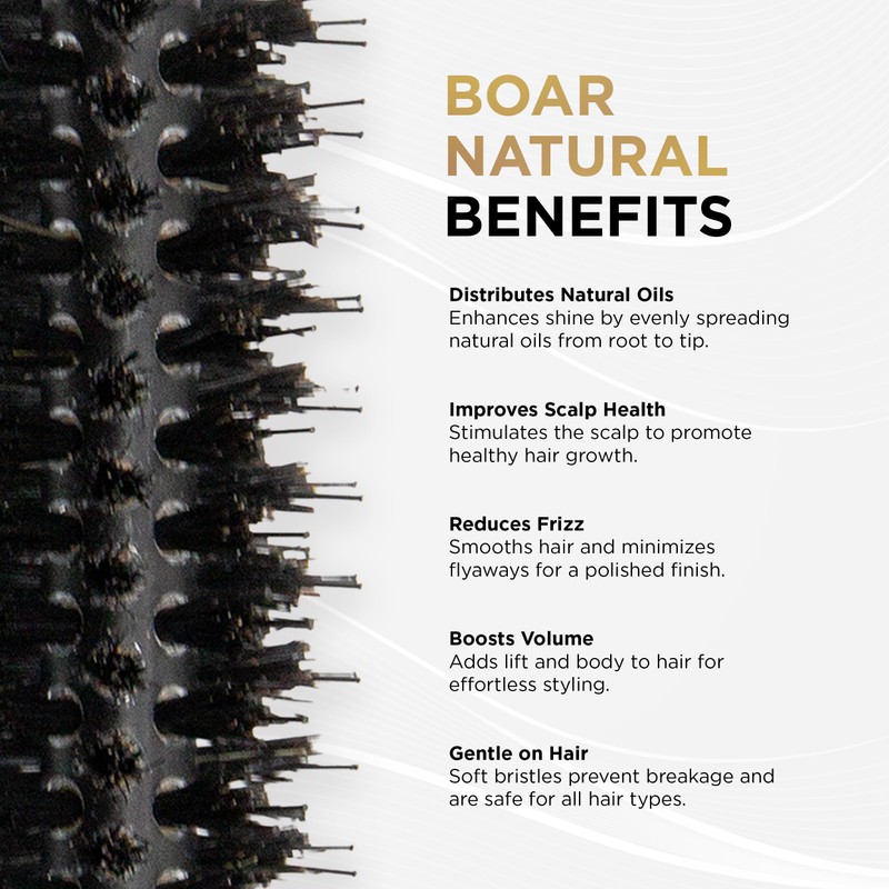 COCCO Black Series Ceramic Boar Brush S4, Hair Styling Brush