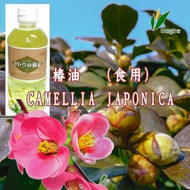 Edible Camellia Oil, 16.9 fl oz (500 ml), Delicious Specialty, Edible Fats, Soap Oil, Handmade Soap Ingredients