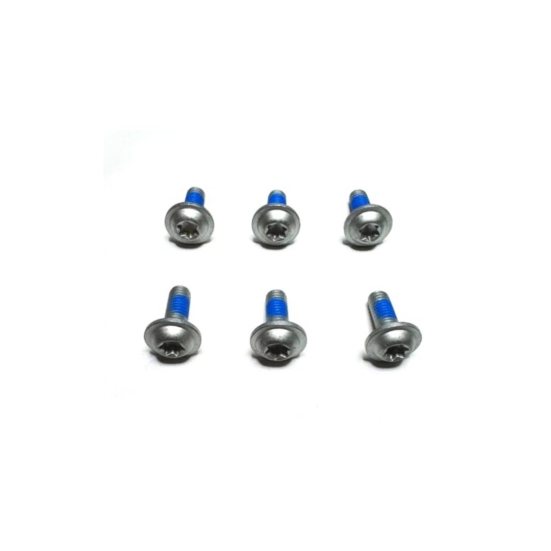 6 ea. Torx Screws for The Hood Hinges Compatible with
