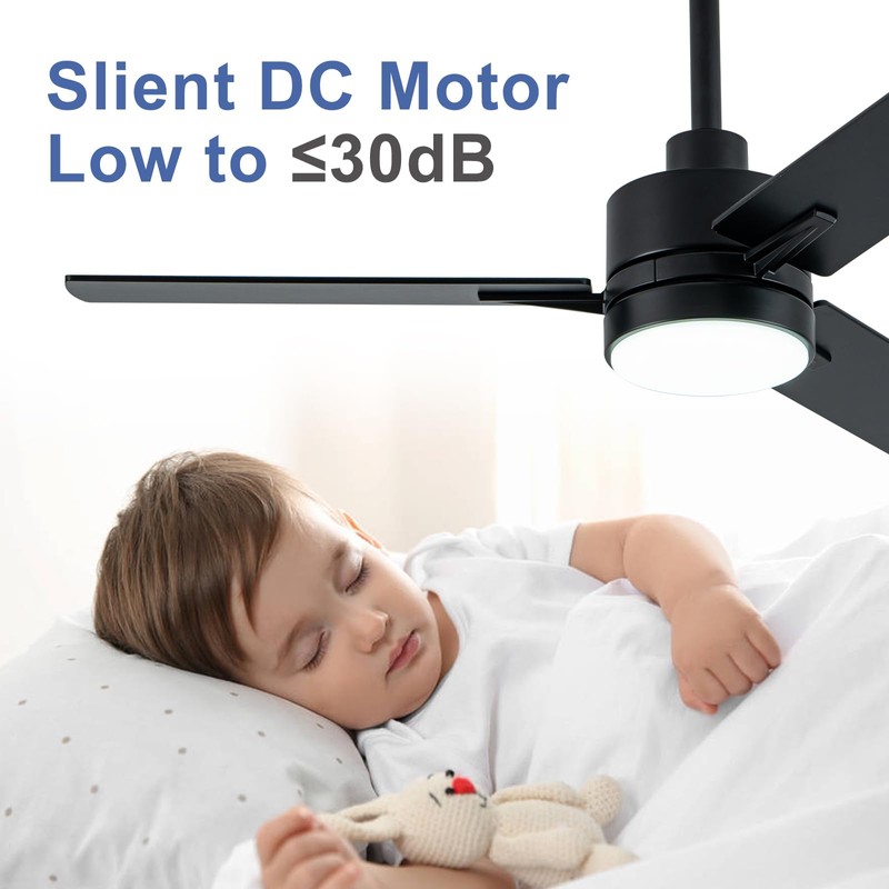 LANMEL 42'' Black Ceiling Fans with Lights and Remote, 6