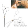 Tnfeeon Hairdressing Scissors Hairdressing Scissors Thinning Scissors Hairdressing Salon Tools