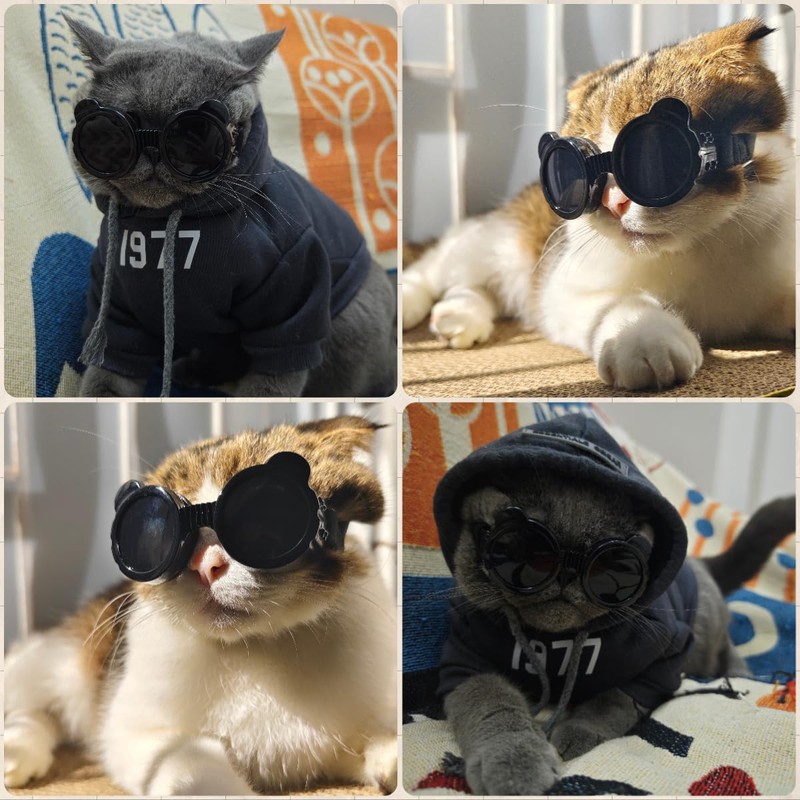 Billionchains Dog Goggles for Small Breed UV/Wind/Dust Protection Puppy Sunglasses