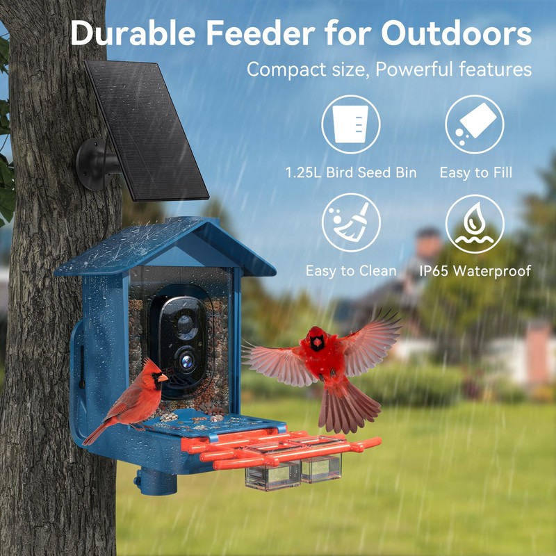 Rayki Solar Bird Feeder with Camera for Birdwatching, 2K HD