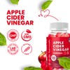 HARMONIFY Apple Cider Vinegar Gummies with Pomegranate Beet Juice, Vinagre
