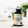 Caralluma Fimbriata Extract 1200mg - Maximum Strength Natural Caralluma Fimbriata