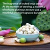 WEIJUEJIYI Natural Dried Lotus Seeds 250g Coreless peeled white lotus