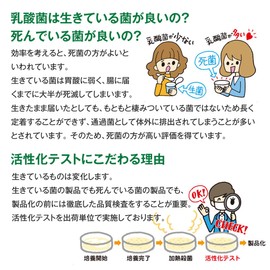 Premium乳酸菌H&JIN グリーン 人用 30包 乳酸菌 サプリ サプリメント エイチジン 人間用