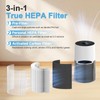 C610 Replacement Filter Z, Compatible with Winix C610, 1712-0121-00, 3-in-1